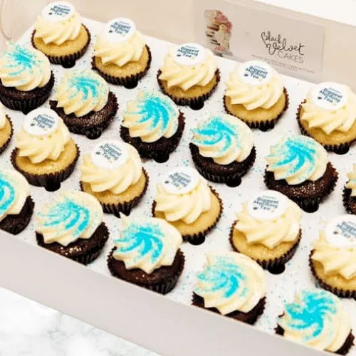 Australia's Biggest Morning Tea Mini Cupcakes (24)