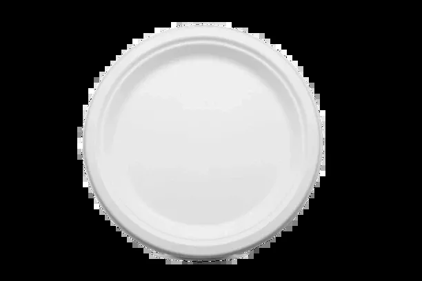Bagasse 9" Plate No Compartment (500 Per Carton)