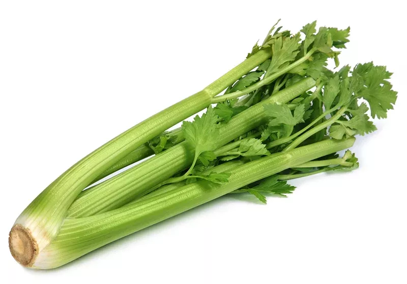 Celery (1 Stalk) (fresh)