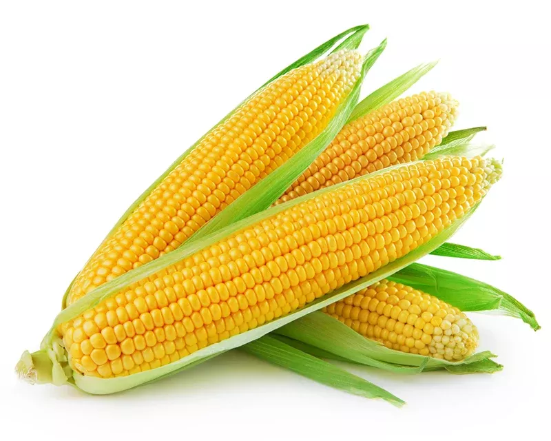 Corn (4 Pieces) (fresh)
