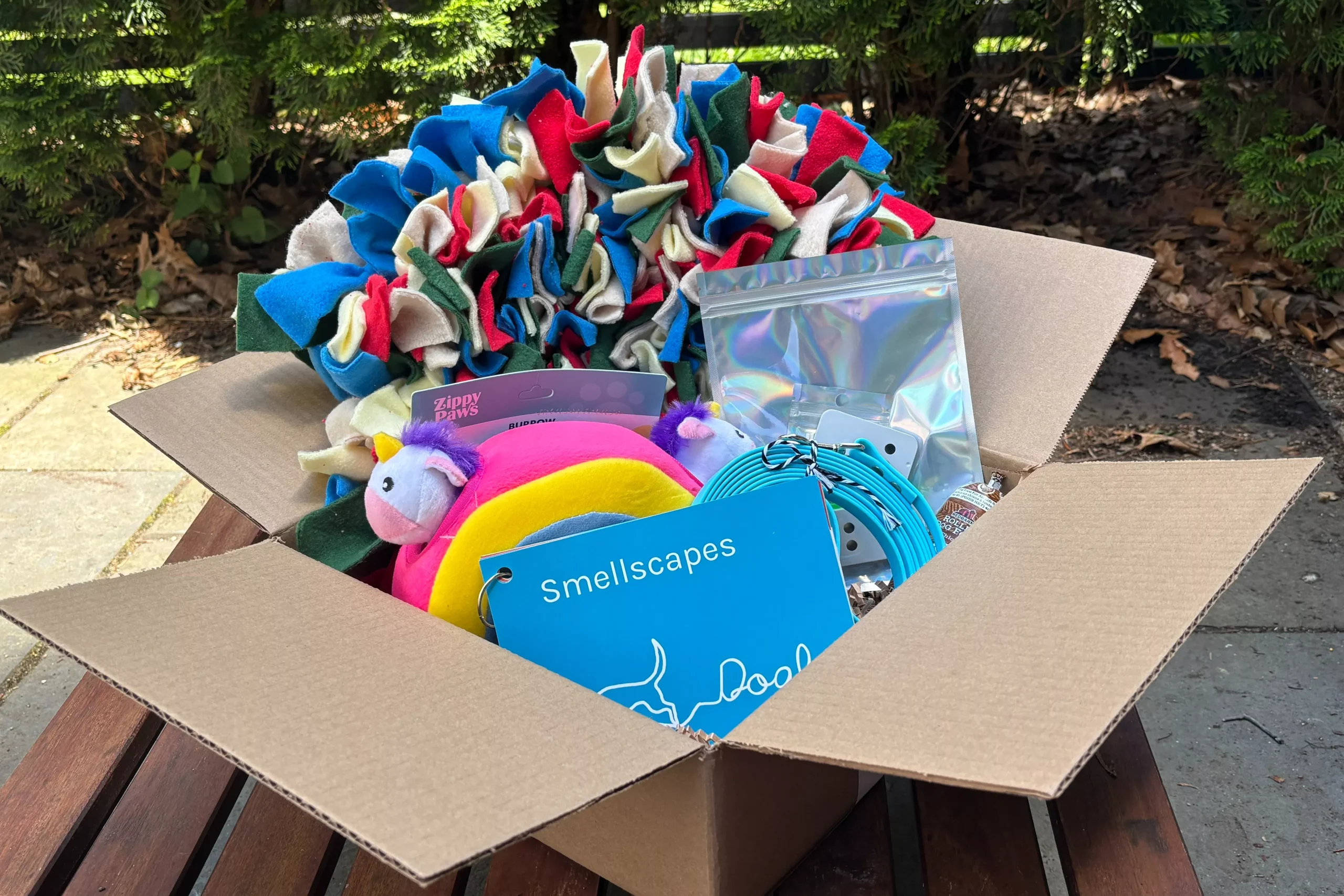 Discovery Kits - Learn, Play, & Grow with Your Dog!