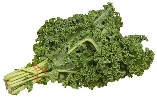 Kale - (1 Bunch) (fresh)