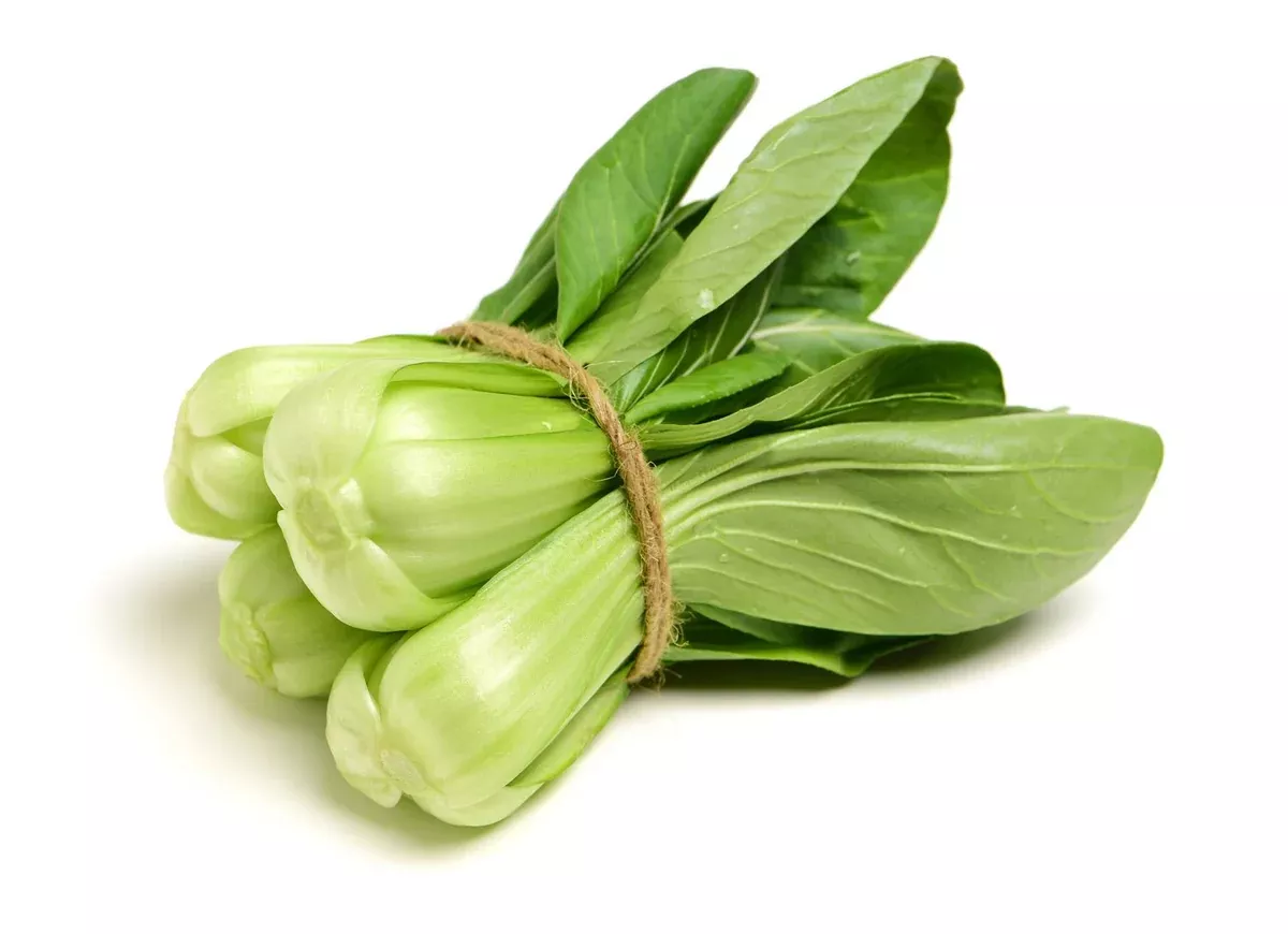 Shanghai Bok Choy(1 lb bag) (fresh)