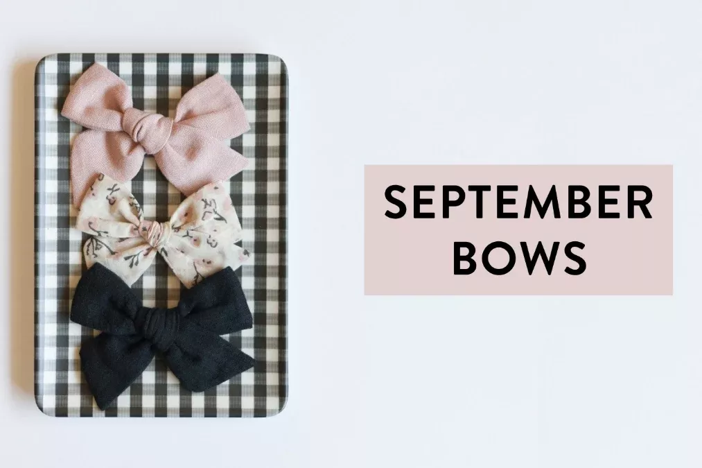 Stylish Three-Bow Subscription