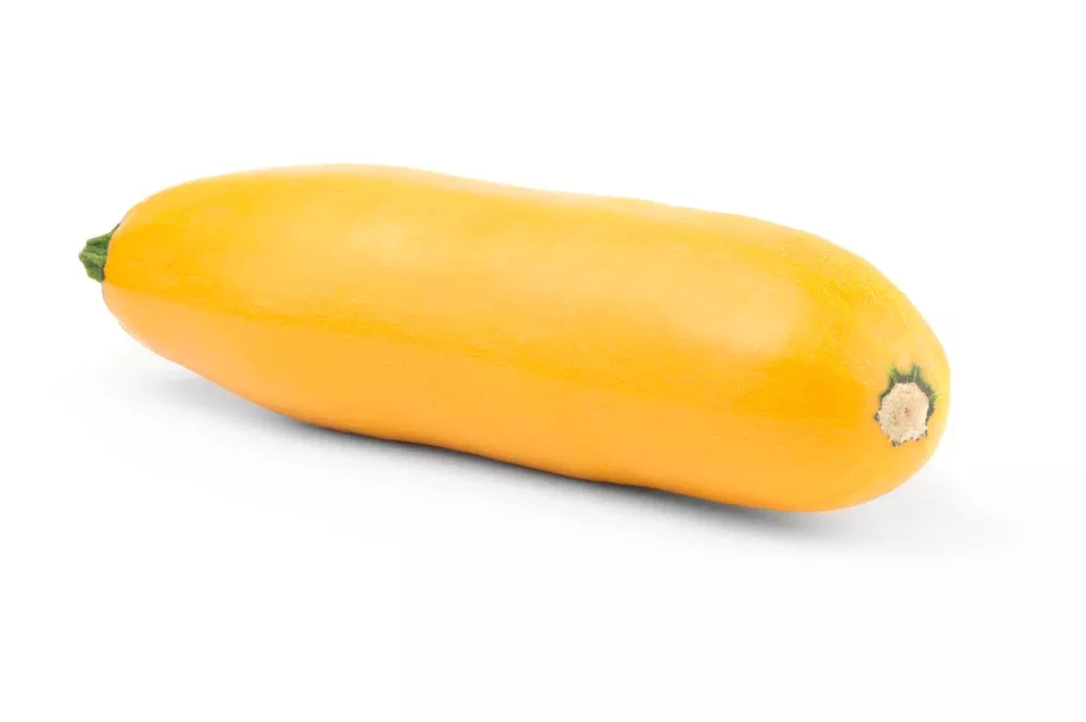 Zucchini Yellow - Case (20 lbs) (fresh)